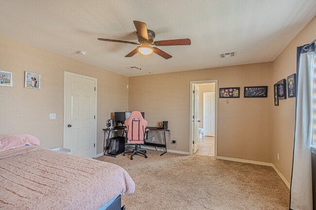 Building Photo - 3240 Peruvian Paso