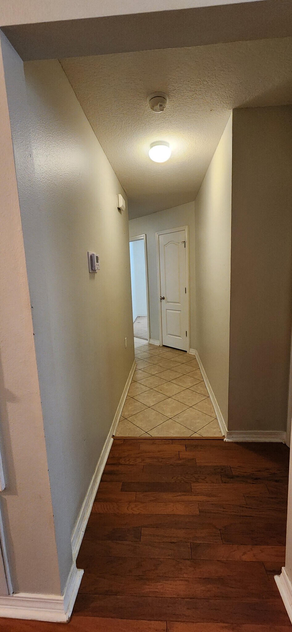 Hallway view to 4 rooms and 1 hall bath - 2318 Tall Oak Dr