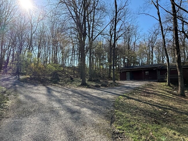 Building Photo - Private and Serene Beauty