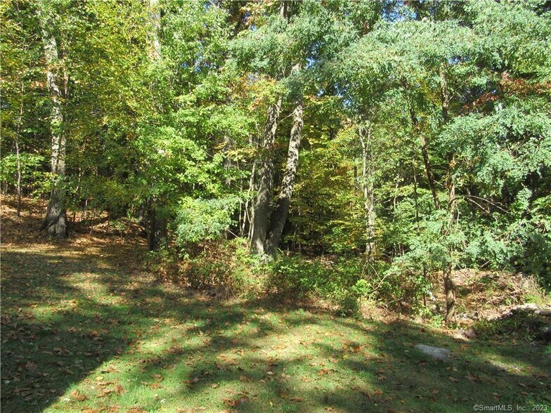 back of yard - 63 Troiano Rd