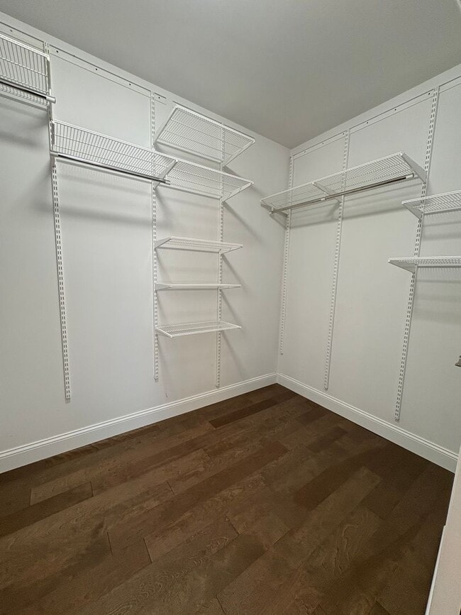 Building Photo - Welcome to your new home in the heart of Severance, CO!