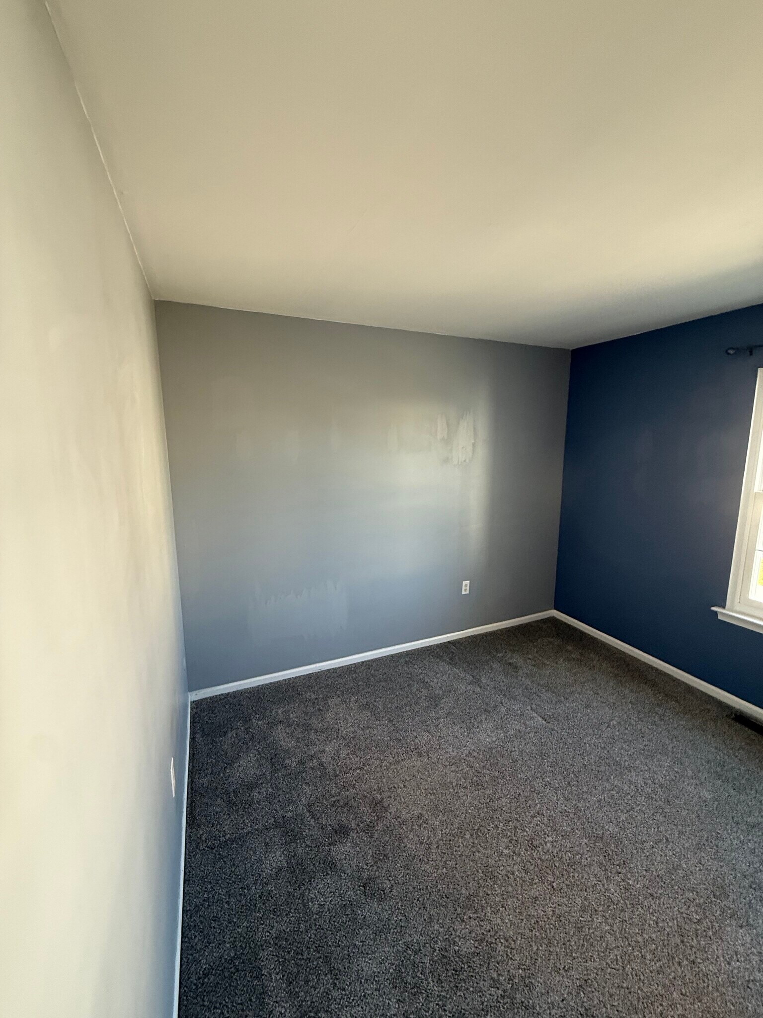 Building Photo - 12 Paynter St