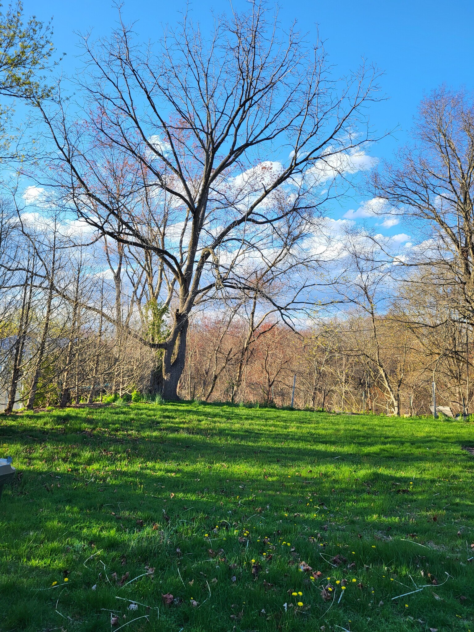 Building Photo - 85 Sherman St