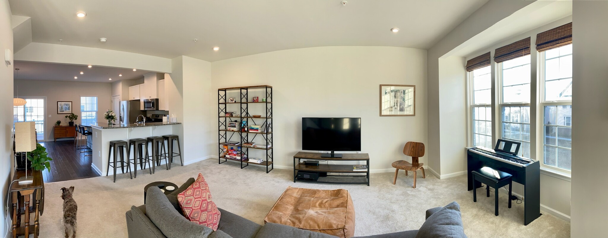 Living/eat in counter - 247 Madison Ln