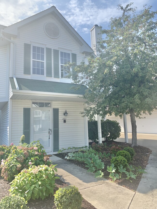 Primary Photo - 401 Vista Cir