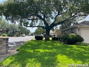 Building Photo - 4307 Shavano Wds