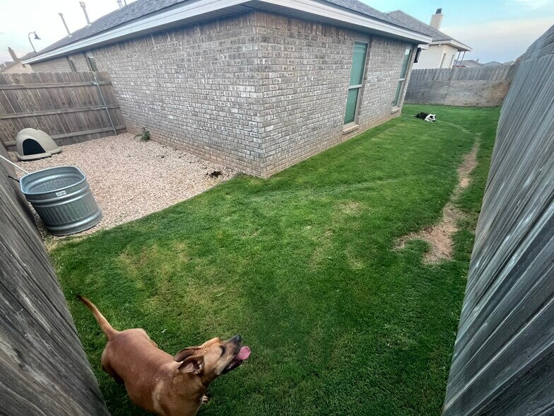 Backyard - 3201 Aberdeen Ave