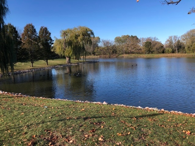 Building Photo - 636 Pintail St