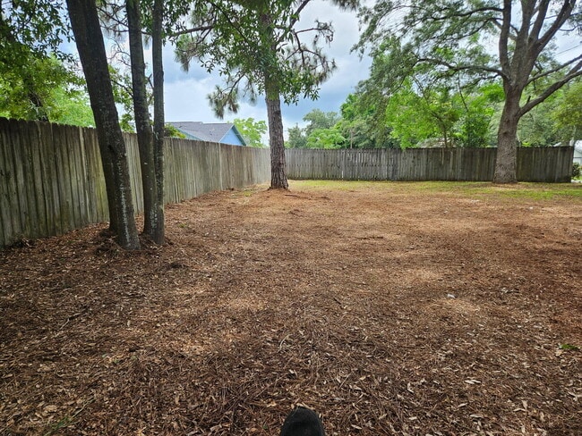 Building Photo - 2567 Weeping Willow Ln