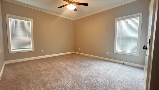 Building Photo - 4800 Brown Cat Cir