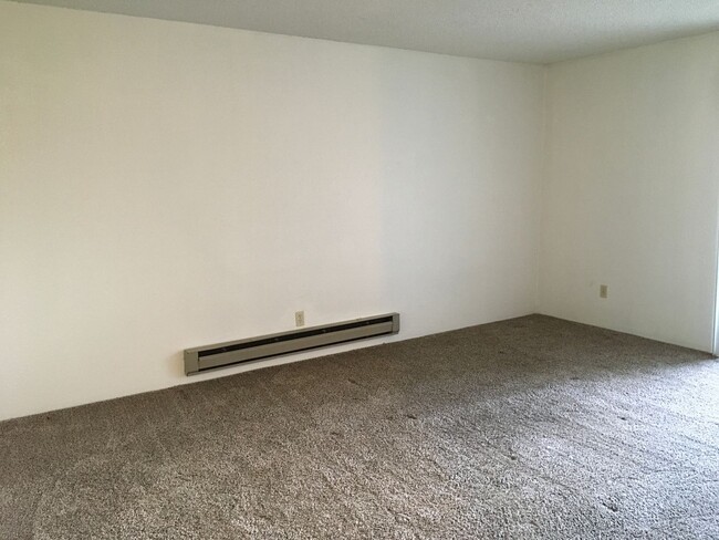 Building Photo - SUPER CUTE UNIT- BRAND NEW CARPET AND PAIN...