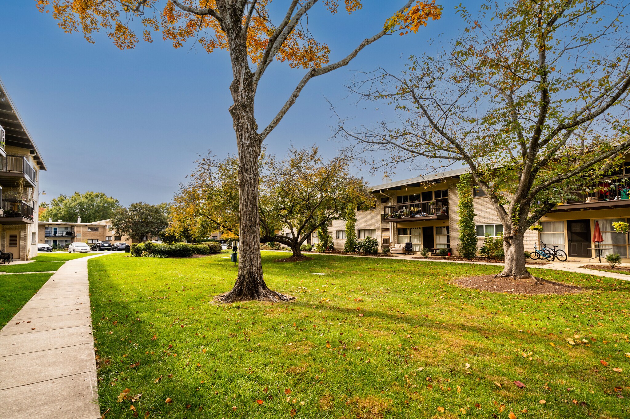 Building Photo - 4965 Americana Dr