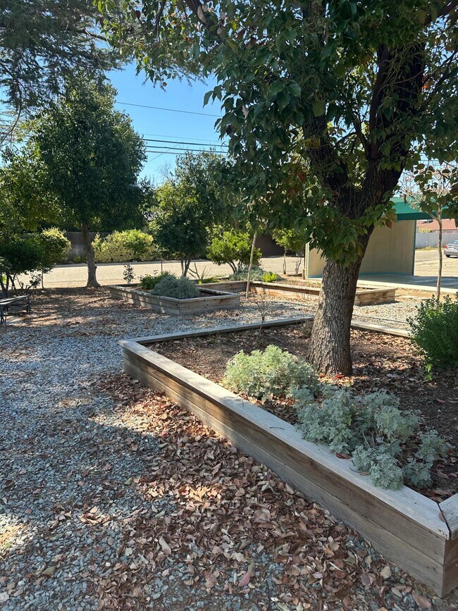 Building Photo - 1415 E Rialto Ave