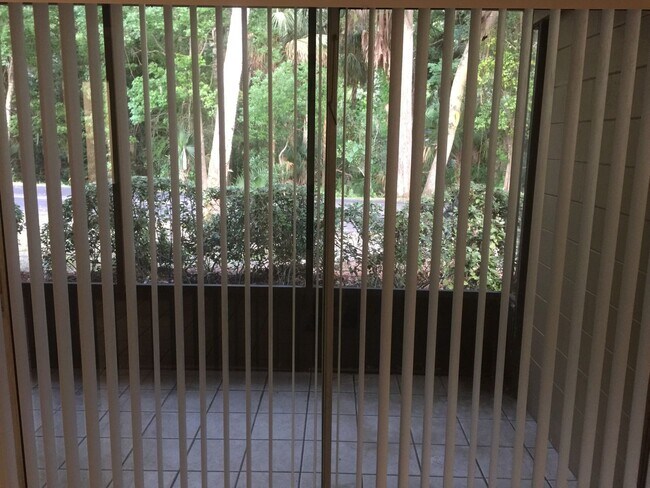 Building Photo - Two bedroom two bath First floor condo in Deltona