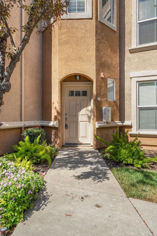 Building Photo - 1316 Milano Dr