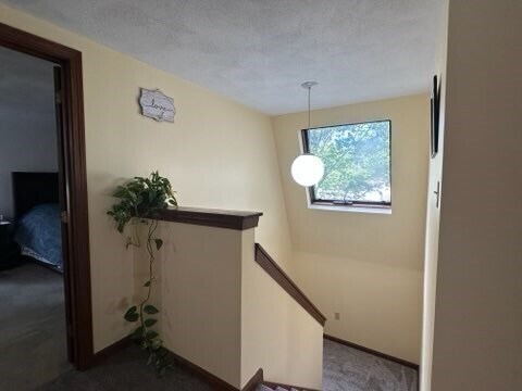 Building Photo - 3 Horton Ln