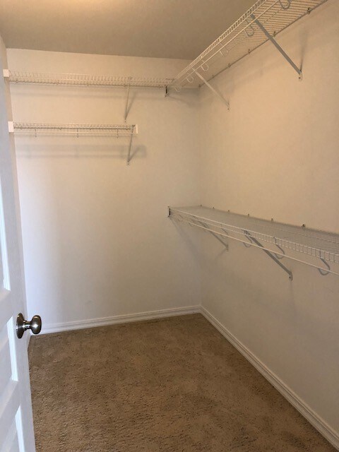 Building Photo - 4 Bedroom 2.5 Bath with 2 car garage