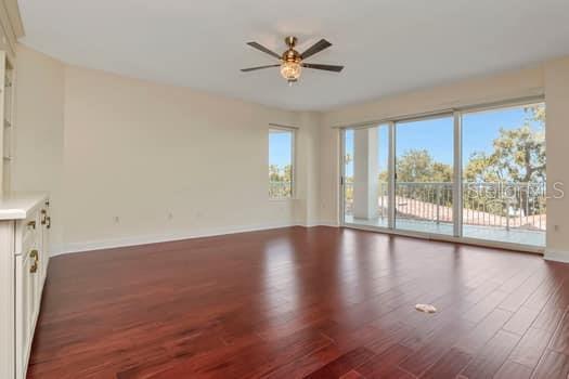 Building Photo - 3507 Bayshore Blvd