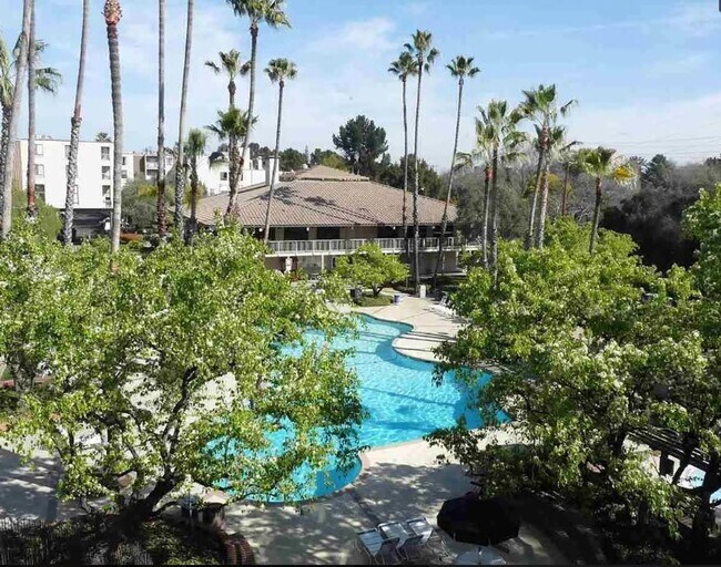 Building Photo - Best Value in Walnut Creek 1/1 - Pool, Hot Tub, Gym, et.