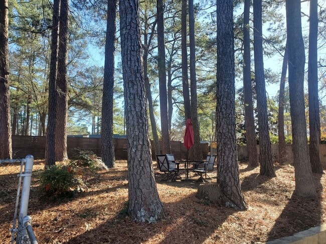 Building Photo - Beautiful 4 Bedroom Single Family Home