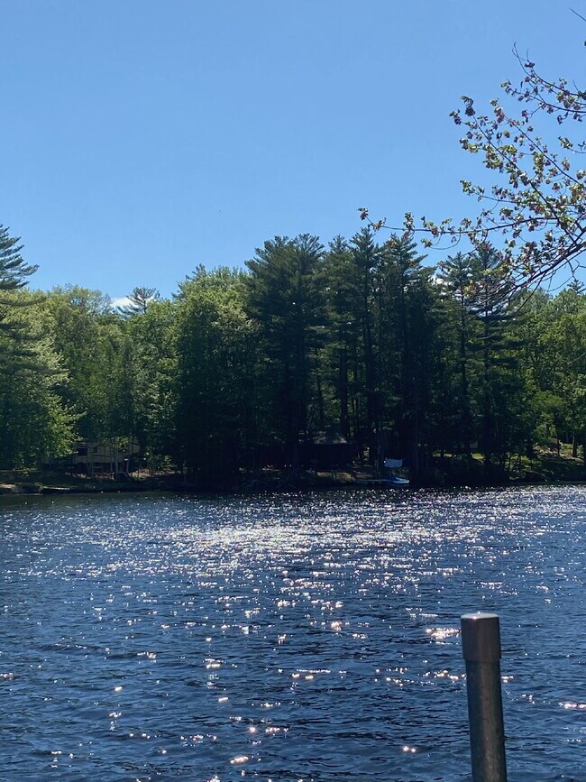 Building Photo - Charming 3BR Waterfront Retreat with Sunroom, Brick Accent & Scenic Lake Views