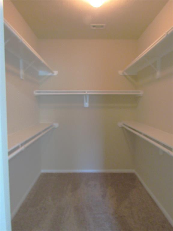 Building Photo - 17222 Hannah Oaks Ln