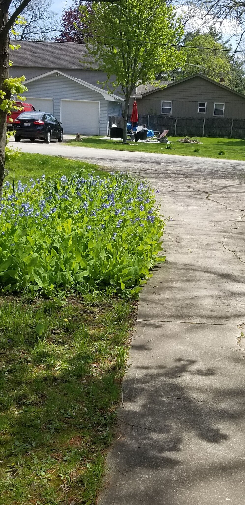 Building Photo - 212 E Main St