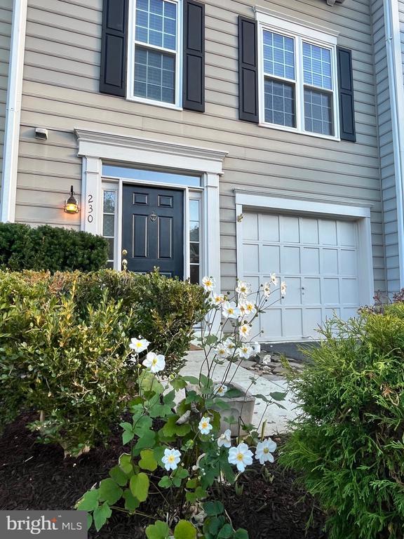 Primary Photo - 230 Connery Terrace SW