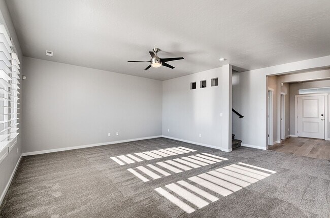 Building Photo - Custom Hunter-Douglas shutters throughout.