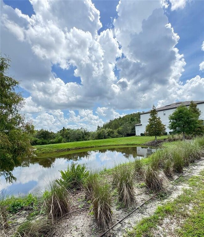 Building Photo - 3590 Bellmeade Ct