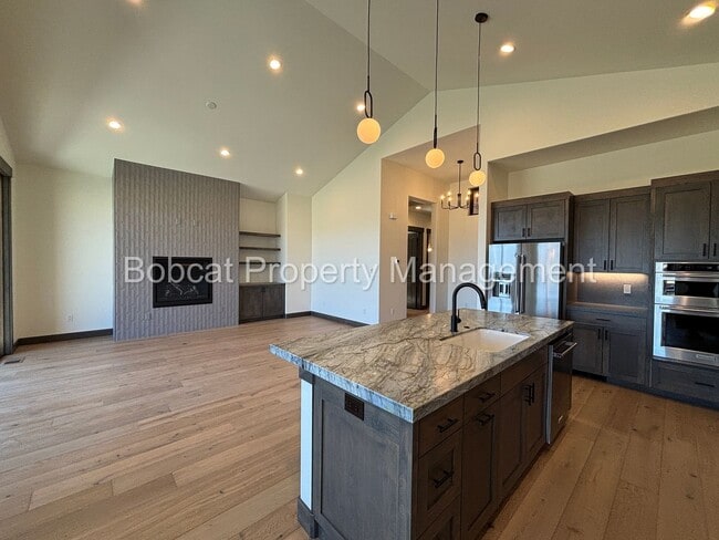 Building Photo - Brand New, Mountain Modern Home on Genoa R...