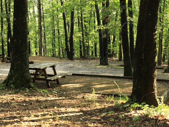 Building Photo - 5558 State Hwy 265