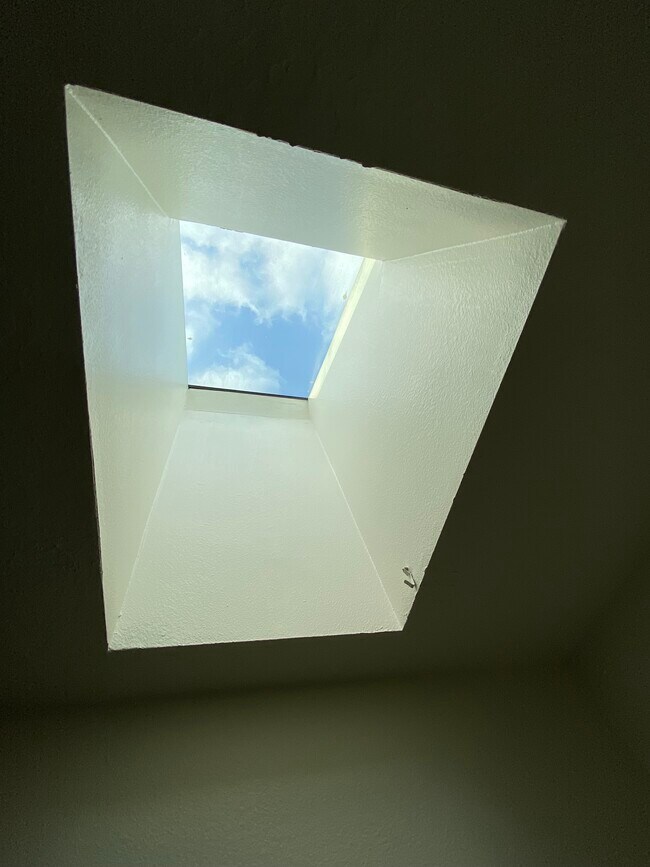 bathroom skylight - 1439 SW Montgomery St