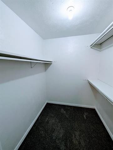 Building Photo - 949 Mossvine Dr