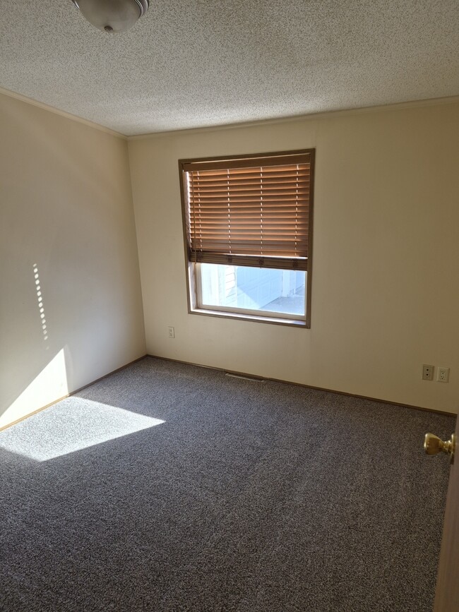 Building Photo - 134 Paddock Cir