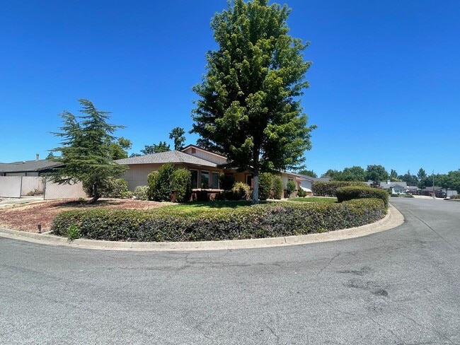 Building Photo - SPACIOUS 3 BED 2 BATH WITH A FAMILY ROOM A...