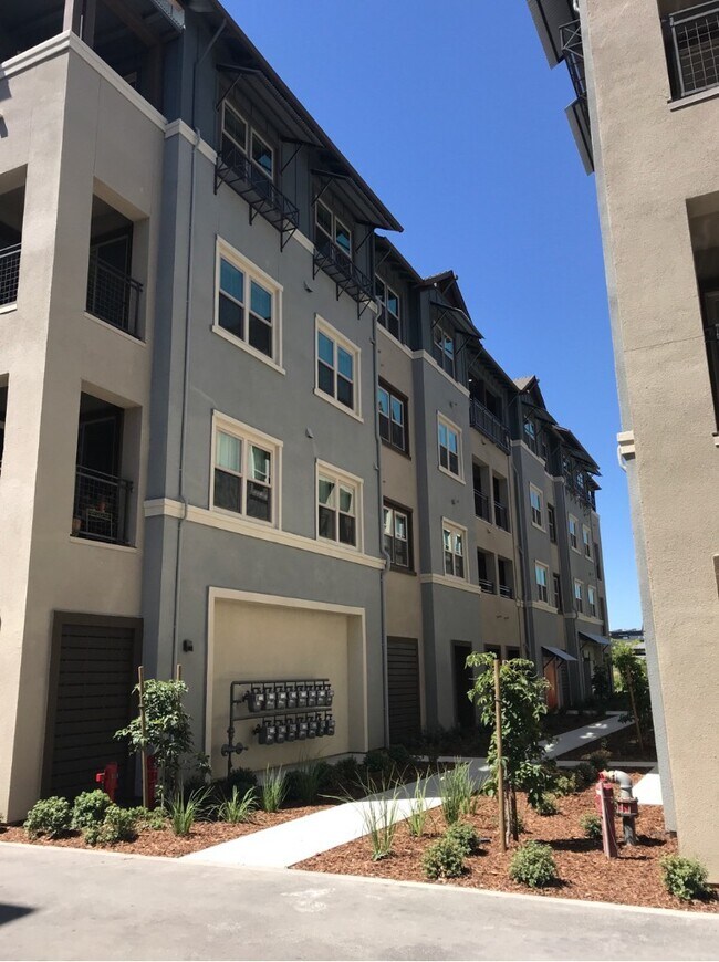 Building Photo - Gala Flat at The Cannery in Davis now!