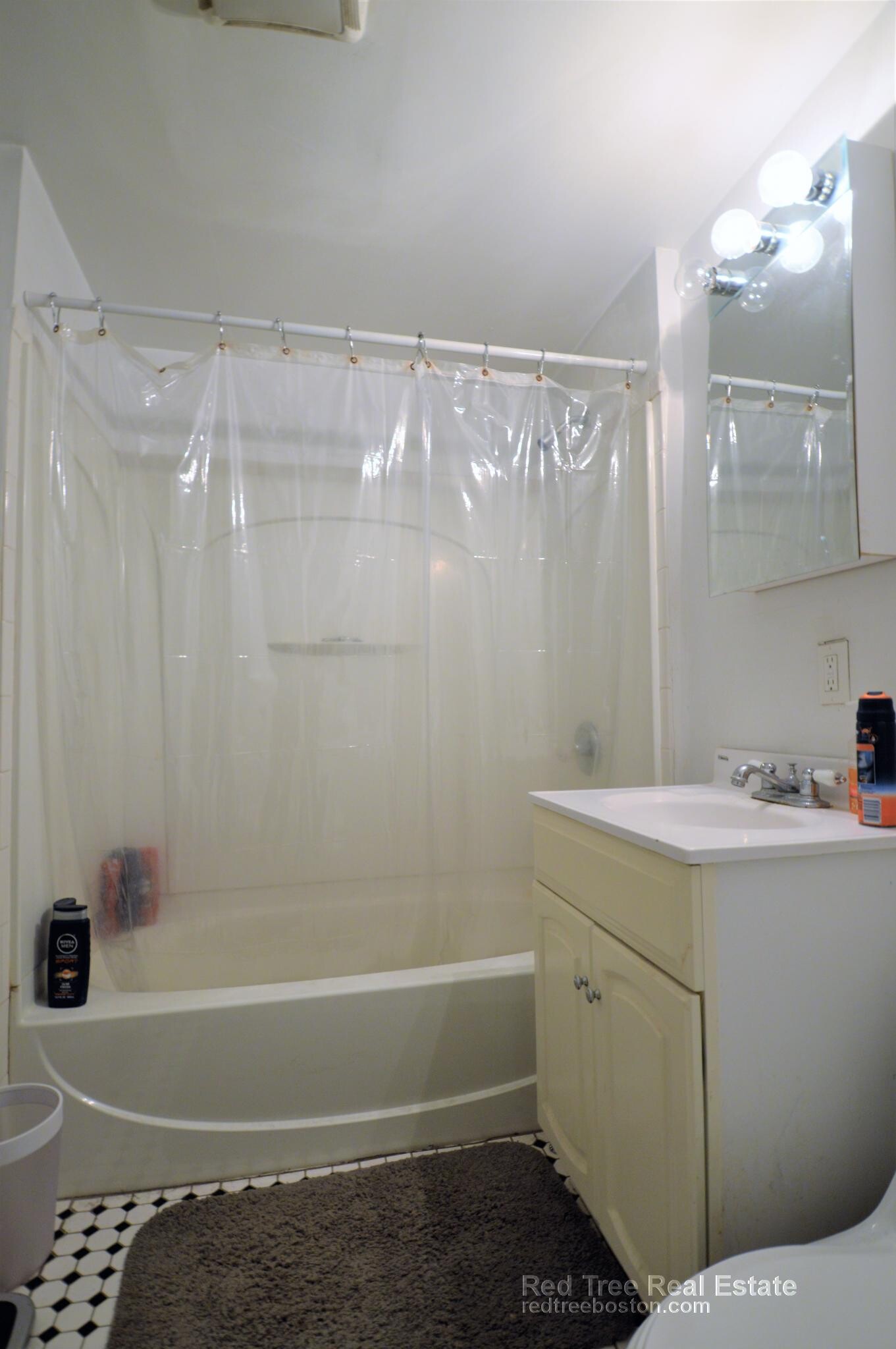 Building Photo - 66 Egmont St