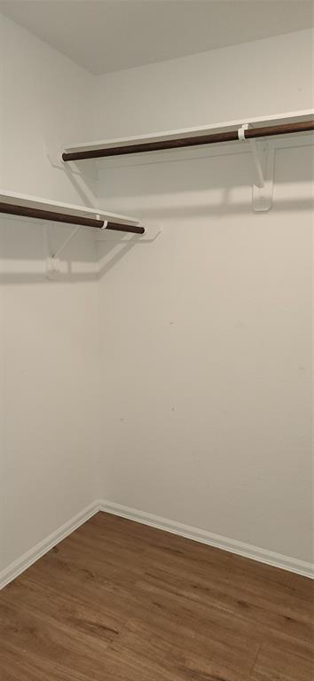 Building Photo - 3783 Solanum Dr