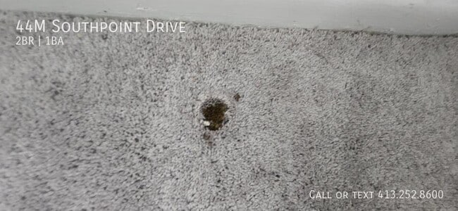 Building Photo - 44 Southpoint Dr