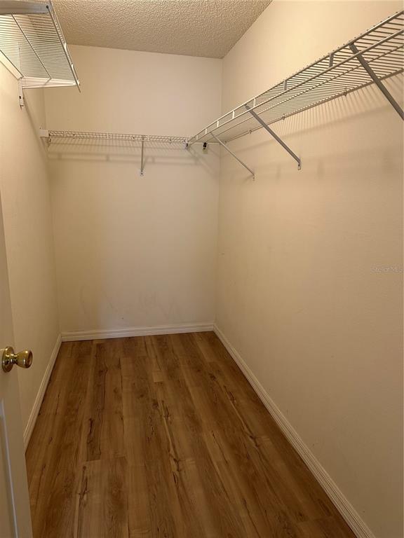Building Photo - 917 Camino Del Rey Dr