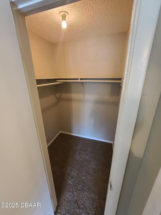 Building Photo - 1600 Big Tree Rd