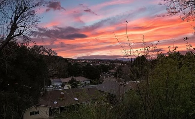 Building Photo - 25019 Wheeler Rd