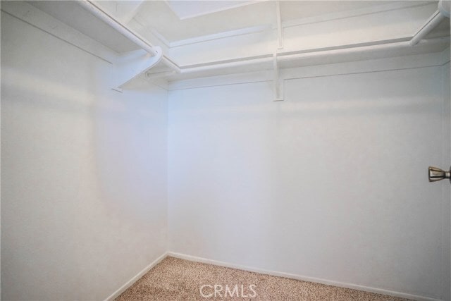 Building Photo - 4638 Minorca Way