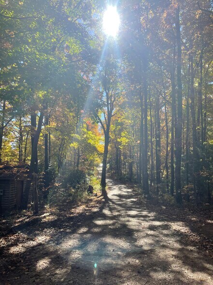 Enjoy the private road to the house - 86 Yonah Vw