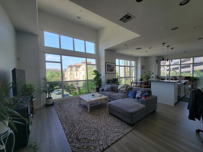 Stunning open floor plan living area with floor to ceiling windows and tons of natural light - 207 Pierce St