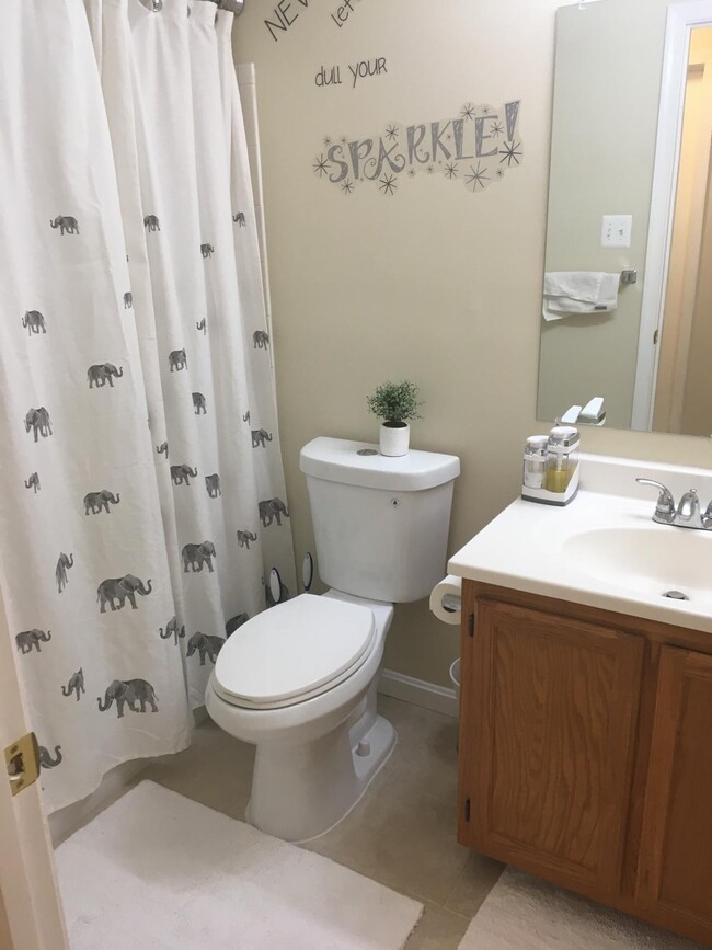 Private Bathroom - 2702 Snowbird Ter