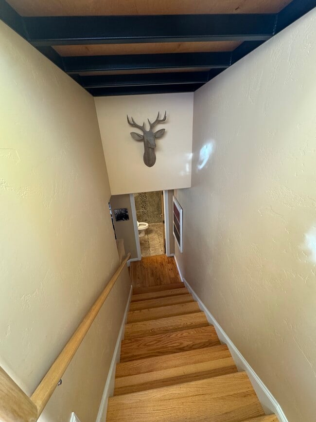 Building Photo - 78 Jameson Dr