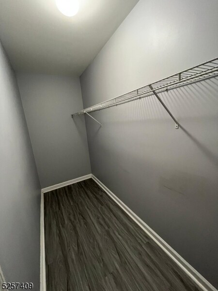 Building Photo - 346 Hamilton Ave