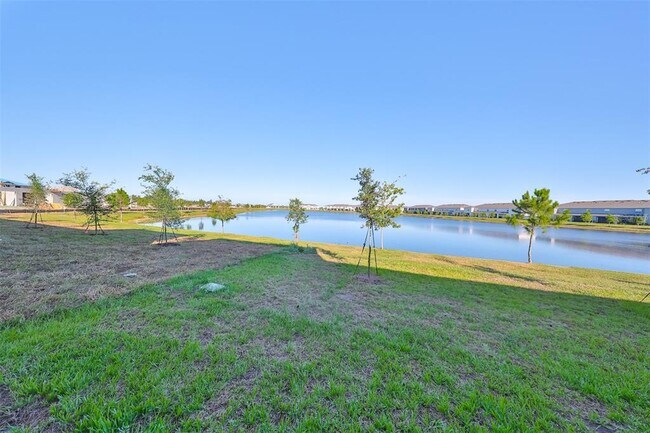 Building Photo - 379 Mangrove Shade Cir